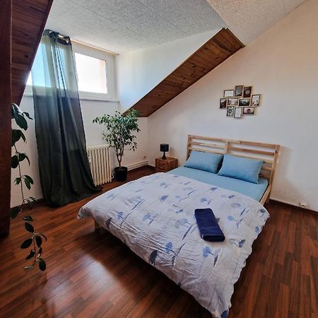 Nice Room 4 Minutes From Basel Shared Apartment Saint-Louis  Εξωτερικό φωτογραφία