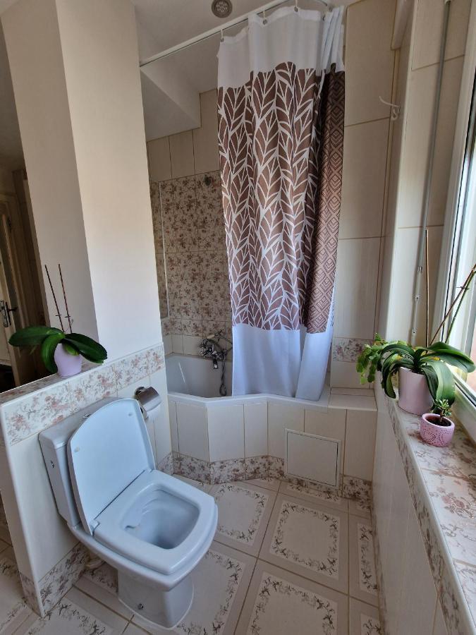 Nice Room 4 Minutes From Basel Shared Apartment Saint-Louis  Εξωτερικό φωτογραφία