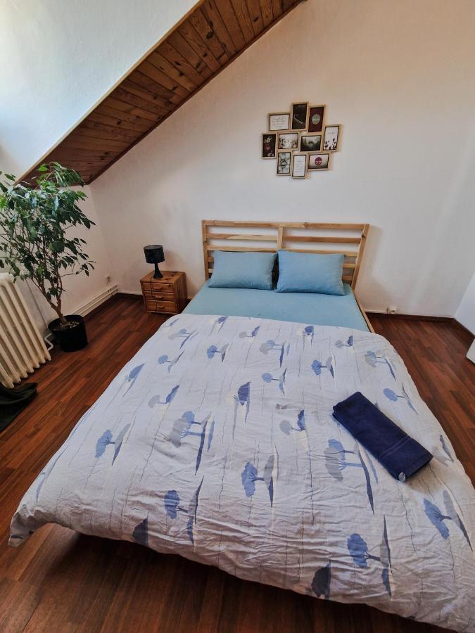 Nice Room 4 Minutes From Basel Shared Apartment Saint-Louis  Εξωτερικό φωτογραφία