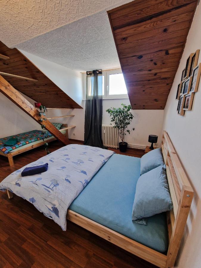 Nice Room 4 Minutes From Basel Shared Apartment Saint-Louis  Εξωτερικό φωτογραφία
