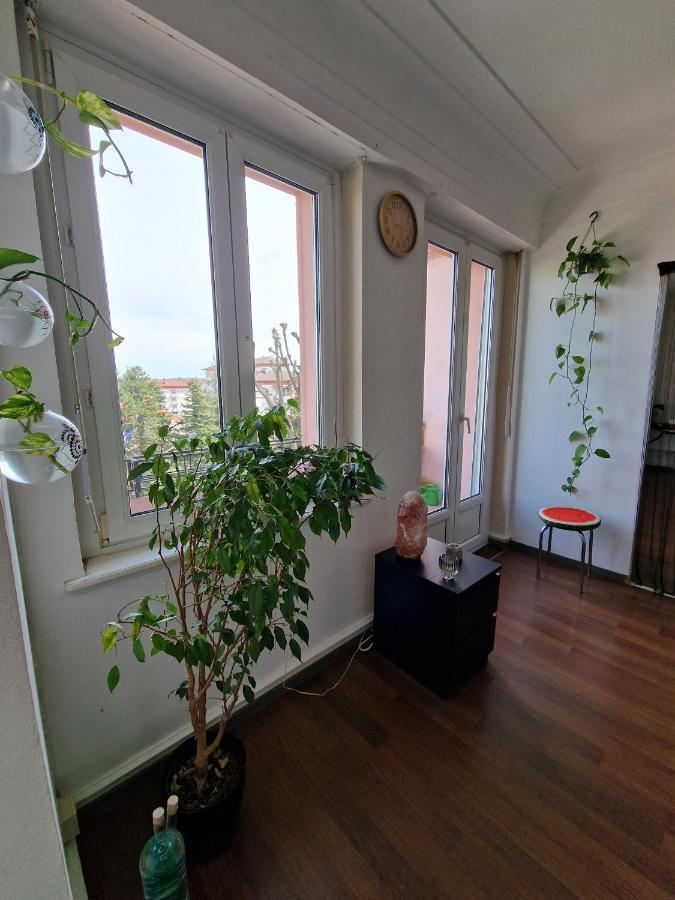 Nice Room 4 Minutes From Basel Shared Apartment Saint-Louis  Εξωτερικό φωτογραφία